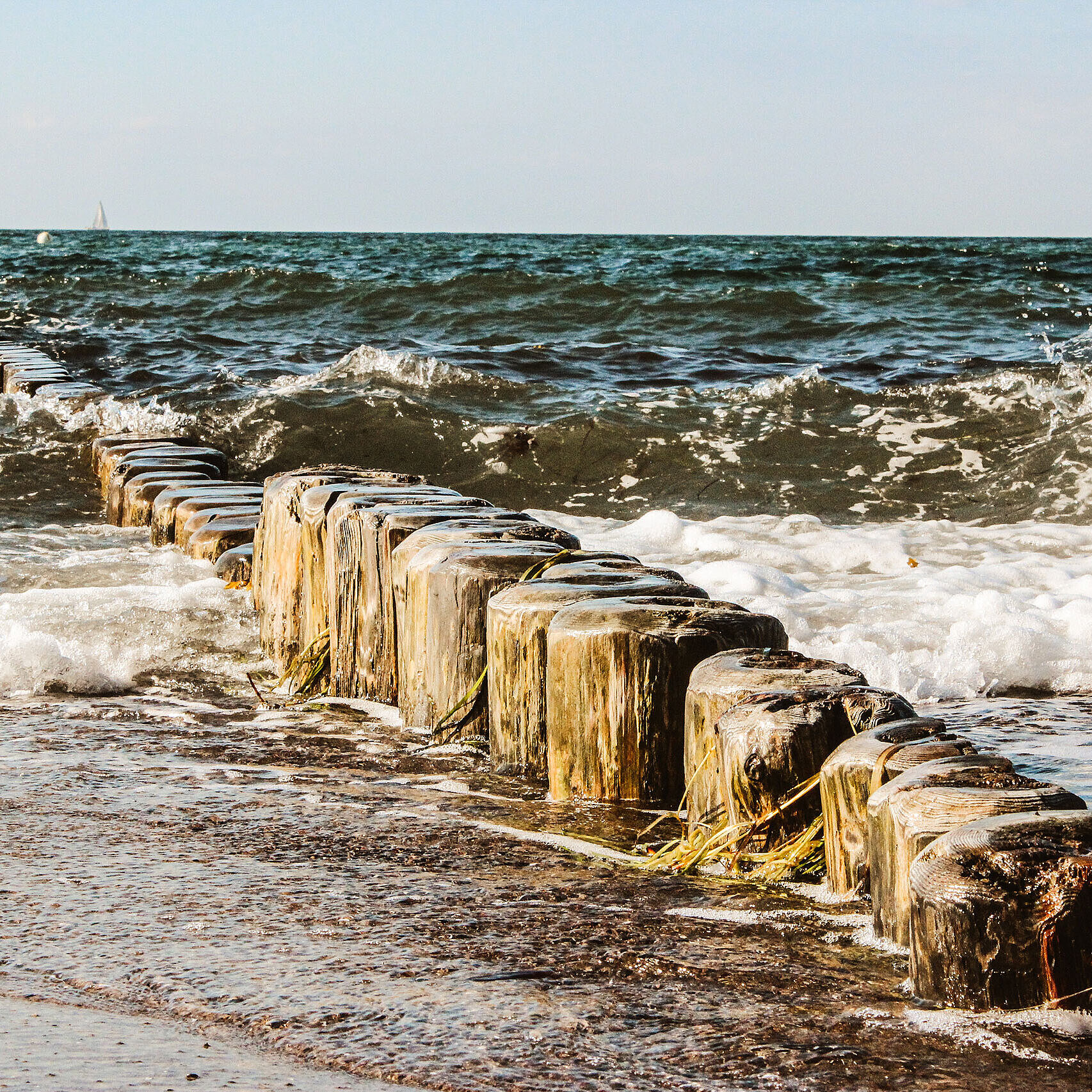 Blick aufs Ostsee-Strandufer mit Holzpfählen