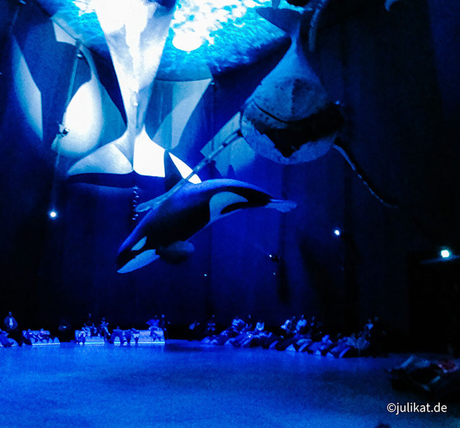 Ausstellung von Walen im OZEANEUM