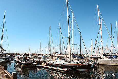 Blick auf Seegelboote